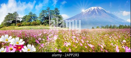 Der schöne Blick auf die Berge mit schönem Himmel und Blumen auf dem Boden Stockfoto