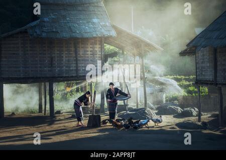 Asiatische Frauen Arbeiter worfeln Reis getrennt zwischen Reis und die Schale von Reis und Fütterung Hühner in Laos auf dem Land Stockfoto