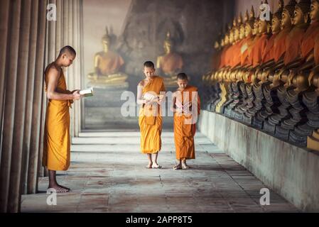 Novizenmönche lesen Buch im Kloster in der Provinz Ayutthaya, Thailand Stockfoto