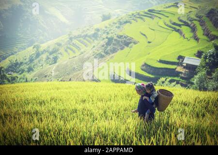 Mutter und Tochter auf den Reisterrassen, TU Le Lao Cai, Vietnam Stockfoto
