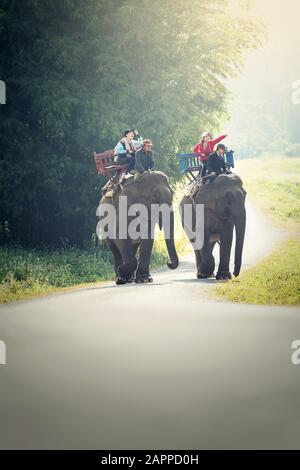 Touristenfahrt auf Elefanten Trekking Stockfoto