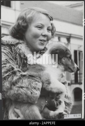 Königshaus, Prinzessinnen, Porträts, Haustiere, Kinder, Beatrix, Prinzessin, Hunde, Utrechter Datum: 29. Januar 1951 Ort: Soestdijk, Utrechter Schlüsselwörter: Haustiere, Kinder, Königshaus, Porträts, Prinzessinnen persönlicher Name: Beatrix, Prinzessin, Hunde Stockfoto