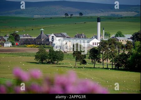 Ardmore Distillery, Kennethmont, Aberdeenshire, Schottland Stockfoto