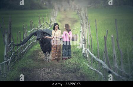 Asiatische Frau (Thai) Landwirt mit einem Büffel im Feld Stockfoto