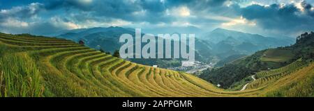 Reisfelder auf terrassenförmig von Mu Cang Chai, YenBai, Vietnam. Reisfelder bereiten die Ernte in Nordwest-Vietnam.Vietnam-Landschaften vor Stockfoto