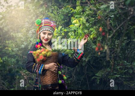 Karens Mädchen mit traditioneller Kleidung in der Rambutan-Plantage Stockfoto