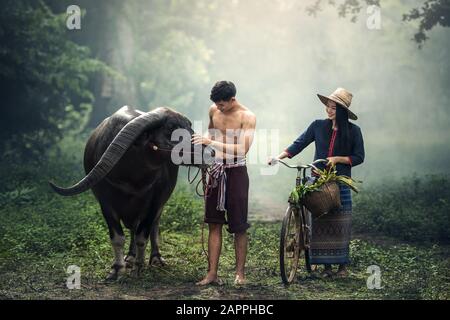 Bauer mit Büffel in Bauernanzug einkoppeln Stockfoto