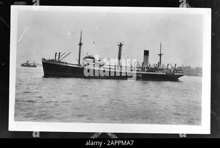 Mn [Merchant Navy]/Anefo London Series niederländische Handelsflotte. M.S. Alcinous Annotation: Repronegativ. August 1940 von einem deutschen U-Boot [U-46] angegriffen und beschädigt wurde, wurde das Schiff (Baujahr 1926) der niederländischen Steamvaart Mijoceen am 16. Am 11. April 1941 wurde das Schiff (kommandiert von Kapitän Jacob Kool) erneut von einem U-Boot angegriffen [U-124], schaffte aber die Flucht. Quelle: www.uboat.net/allies/merchants/ships/465.html Datum: 1943 Ort: Großbritannien Schlagwörter: Handelsflotten, Marine, Schiffe, Weltkrieg Stockfoto