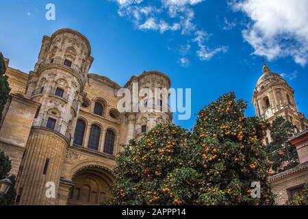 Kathedrale von Málaga an der Plaza del Obispo. Málaga, Andalusien, Spanien Stockfoto