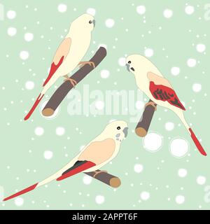 Satz von drei niedlichen Papageien Vögel auf Zweig und Leiter. Vogel. Flache Vector Illustration Stock Vektor