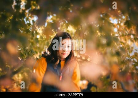 Mädchen versteckt sich hinter Herbstlaub in den Zweigen eines Ahorn-Baumes. Stockfoto