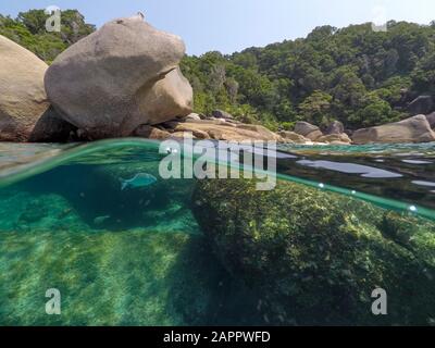 Klares Wasser und Felsen der Insel Ko Miang, Thailand Stockfoto