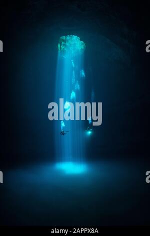 Taucher erkunden Cenote Maravilla, Mexiko Stockfoto