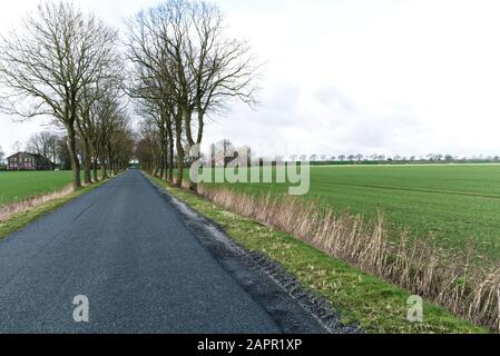 Moorstraße an der abgelegenen und isolierten Dollart in Frisia, Niedersachsen, Norddeutschland Stockfoto