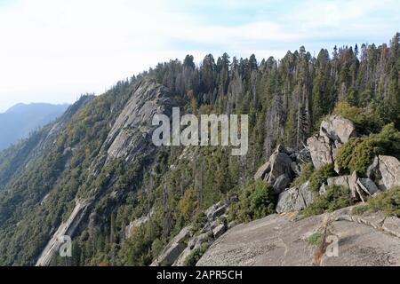 Aussichtspunkt im Sequoia National Park Stockfoto