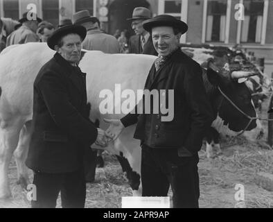 Oster Cattle Market in Goes Datum: 6. März 1951 Ort: Goes Schlüsselwörter: Händler, Tiere, verkaufen Stockfoto