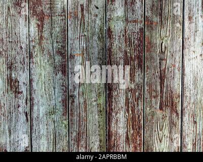 Verwitterte grüne Wandstruktur aus Holz Stockfoto