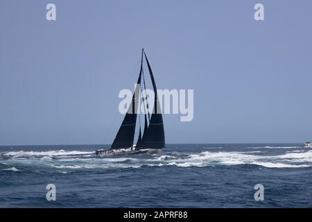 Wild Oats XI zu Beginn des Rolex Sydney Hobart Yacht Race 2019. Sydney Harbour, 26. Dezember 2019. Stockfoto