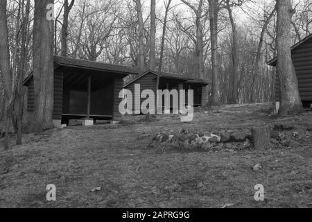 Graustufen Aufnahme von leeren Hütten im Wald umgeben von Bäume Stockfoto