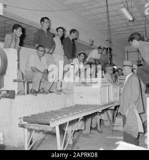 Israel 1964-1965: Tel Aviv, Lebensmittelauktion Verschiedene Truhen von Obst und/oder Gemüse werden bei der Auktion angesehen, um sie herum stehen oder sitzen die Zuschauer Datum: 1964 Ort: Israel, Tel Aviv Schlüsselwörter: Arbeit, Obstkästen, Öffentlichkeit, Auktionen, Lebensmittel Stockfoto