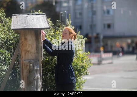 Junge Frau in einem städtischen Garten in einer Stadt in der Nähe eines Bienenhauses Stockfoto