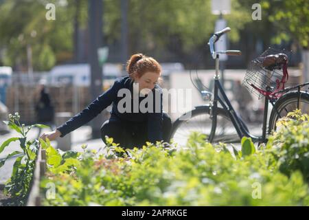 Junge Frau, die in einem städtischen Garten in einer Stadt arbeitet Stockfoto