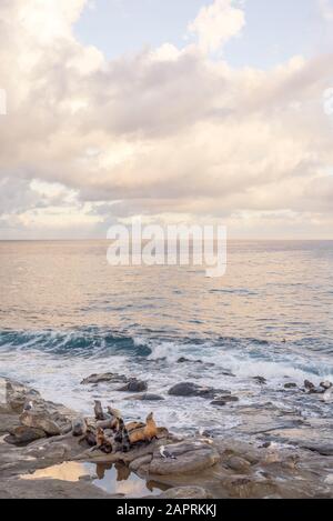 Sonnenaufgang im Winter an der Küste. La Jolla, Kalifornien. Stockfoto