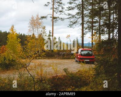 Rotes Auto auf der Straße in der Nähe eines Waldes umgeben von Viele grüne Bäume in Norwegen Stockfoto