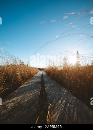 Vertikale Aufnahme eines Boardwalk in einem grasbewachsenen Feld unter Ein heller Himmel Stockfoto