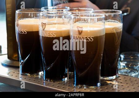 Dublin, IRLAND - 15. FEBRUAR 2014: Die Pints von Guinness werden in einem Pub in Dublin, Irland, serviert Stockfoto