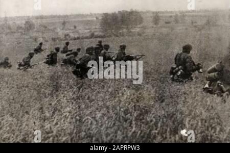 Spaarnestad Photo/SFA022803836 Weltkrieg, Ostfront Landkrieg. Deutsche Stoßtrupps gehen sanft durch das hohe Gras. Russland/Sowjetunion, 7. November 1941. Stockfoto