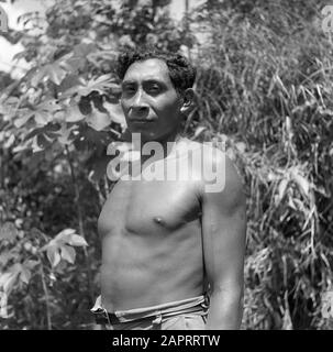 Reisen nach Suriname und die niederländischen Antillen EIN Arawak-Inder in Pierrekondre in Suriname Datum: 1947 Ort: Pierrekondre, Suriname Schlüsselwörter: Inder, Inder Stockfoto