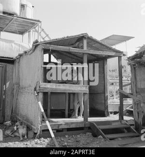 Israel 1964-1965: Totes Meer, Sodom EIN Badekeusch in der Gelegenheit, ein Schwefelbad am Ufer des Toten Meeres zu nehmen. Anmerkung: Das Tote Meer ist nicht nur das salzreichste, sondern auch das mineralreichste Wasser der Welt. Es gibt eine außergewöhnlich hohe Konzentration an Kalium, Brom, Magnesium und Jod. Datum: 1964 Ort: Totes Meer, Israel, Sodom Schlüsselwörter: Badegäste, Küsten, Meere, Schwefelbäder Stockfoto