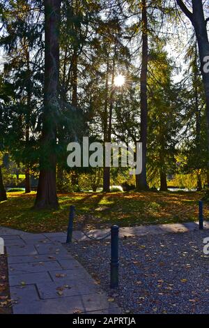 Das Herbstlicht scheint durch die Bäume in der Parklandschaft rund um die Kathedrale von Dunkeld, am Ufer des Flusses Tay. Stockfoto