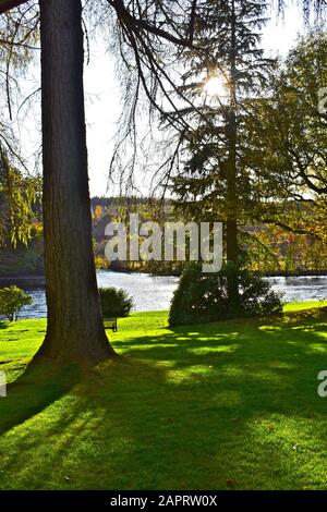 Das Herbstlicht scheint durch die Bäume in der Parklandschaft rund um die Kathedrale von Dunkeld, am Ufer des Flusses Tay. Stockfoto