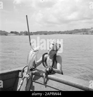 Niederländische Antillen und Suriname zum Zeitpunkt des königlichen Besuches von Königin Juliana und Prinz Bernhard im Jahre 1955 EIN Taucher mit gefangenem Fisch in der Fuikbucht Datum: Oktober 1955 Ort: Curaçao Schlüsselwörter: Taucher, Schiffe, Angeln Stockfoto
