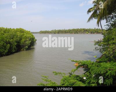 Backwaters Bay in Kerala Kochi Stockfoto