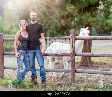 Porträt eines Bauern und seiner Frau mit einem Lama glama im Hintergrund; Armstrong, British Columbia, Kanada Stockfoto