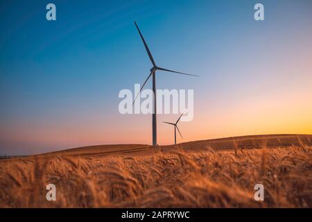 Zwei Windkraftanlagen drehen sich um die Energieerzeugung inmitten eines Weizenfeldes. Windparks werden zu einer immer wichtigeren Quelle von Interm Stockfoto