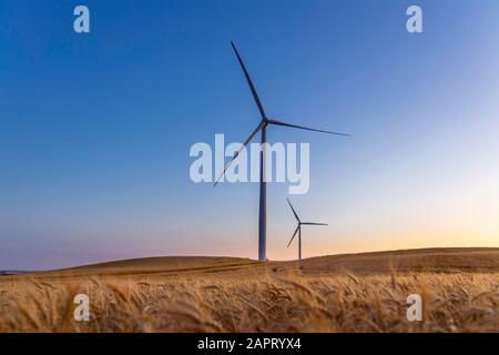 Zwei Windkraftanlagen drehen sich um die Energieerzeugung inmitten eines Weizenfeldes. Windparks werden zu einer immer wichtigeren Quelle von Interm Stockfoto
