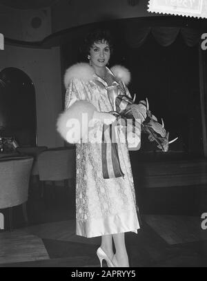 Gina Lolobrigida in Amsterdam, Weltpremiere Datum: 21. Oktober 1955 Ort: Amsterdam, Noord-Holland persönlicher Name: Gina Lolobrigida Stockfoto