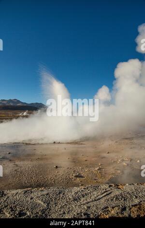 El Tatio Geysers, Altiplano, Chile Stockfoto