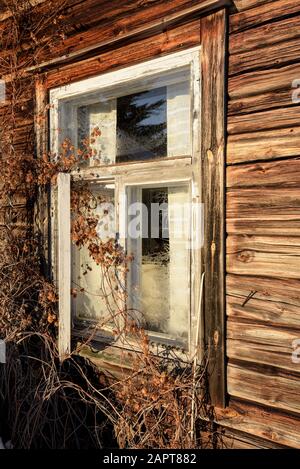 Fenster auf altem Blockhaus Stockfoto