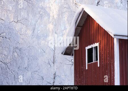 Altes vergangenes Haus im Wald. Schnee bedeckt Dach und Bäume im Hintergrund. Stockfoto