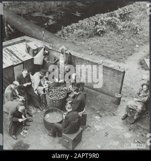 Internierte NSB-er an der Kartoffelschale in den Haag Datum: Juni 1945 Ort: Den Haag, Zuid-Holland Schlüsselwörter: Kollaborateure, Gefangene, Internierte, persönlicher Name des zweiten Weltkriegs: NSB Stockfoto