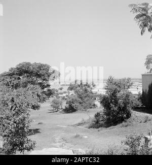 Israel: Kibbutz Ma'agan Mikhael (Ma'agan Michael) Blick auf den Kibbutz und die Fischteiche Datum: Undatierter Ort: Israel Stichwörter: Kibbutz, Teiche, Angeln Stockfoto