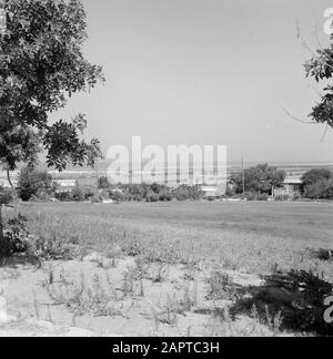 Israel: Kibbutz Ma'agan Mikhael (Ma'agan Michael) Blick auf den Kibbutz und die Fischteiche Datum: Undatierter Ort: Israel, Ma'agan Mikhael Schlüsselwörter: Kibbutz, Panoramas, Teiche, Angeln Stockfoto