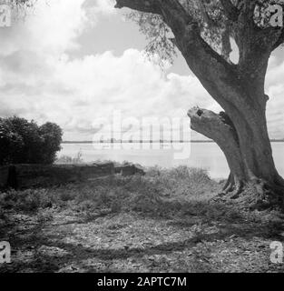 Reise nach Suriname und die niederländischen Antillen Blick auf den Fluss Suriname Datum: 1947 Ort: Suriname Schlüsselwörter: Flüsse Stockfoto