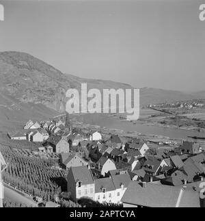 Mosel Blick auf Ãrzig und Weinberg Ãrziger WÃ¼rzgarten Datum: 1959 Standort: Deutschland, Rheinland-Pfalz, Westdeutschland Stichwörter: Dorfbilder, Hügel, Panoramas, Flüsse, Weinanbau: Poll, Willem van de Stockfoto