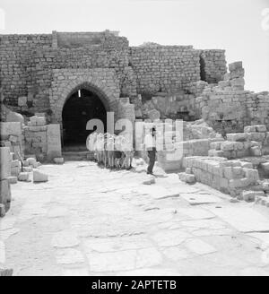 Israel 1964-1965: Caesarea, Archäologische Gruppe von Kindern, die die Gebäude von Caesarea Annotation betrachten: Caesarea ist ein Dorf und ein archäologischer Park in Israel, der im Distrikt Haifa liegt. Sie liegt etwa zwischen Tel Aviv und Haifa im Mittelmeer. Im Hinblick auf die Antike wird sie auch Caesarea Maritima genannt. Bei Caesarea wurden seit Jahrzehnten Ausgrabungen durchgeführt, und es gibt viel zu sehen. Es ist eine Touristenattraktion Datum: 1964 Ort: Caesarea, Israel Schlüsselwörter: Gebäude, Kinder, Touristen Stockfoto